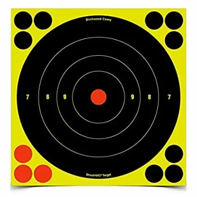 Shoot-N-C Reactive 6" Targets - 60 targets - Shoot-N-C - Rangeview Sports Canada