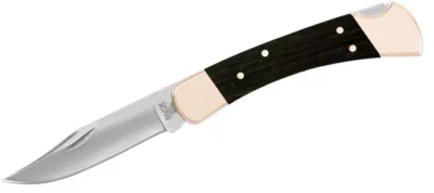 Buck 110 Folding Hunter