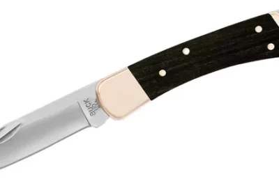 Buck 110 Folding Hunter