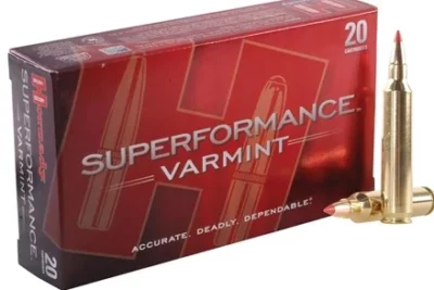 Hornady-204-RUGER-Superformance-Varmint-32gr-V-Max-Pack-of-20-Rounds-Rangeview-sports-Canada