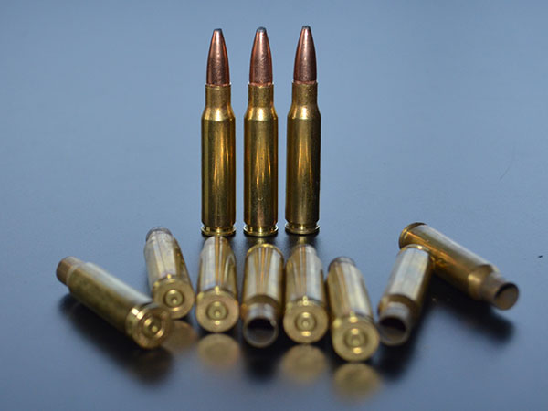 Is the .308 Win the Best Caliber for a New Gun Buyer?