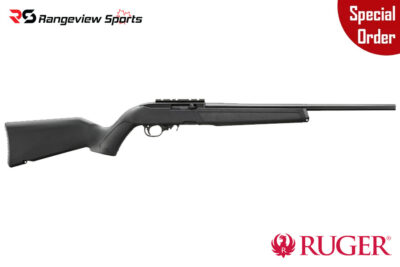 *Special Order* Ruger 10/22 Standard Stain Black Synthetic Stock, 22 LR 18.5'' Barrel