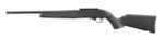 *Special Order* Ruger 10/22 Standard Stain Black Synthetic Stock, 22 LR 18.5'' Barrel - Image 6