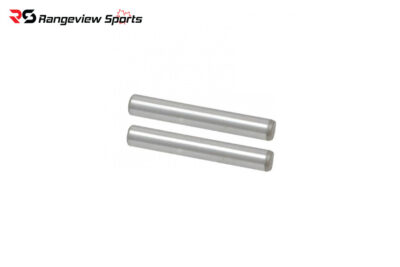 SBI 10/22 Stainless Receiver Pins