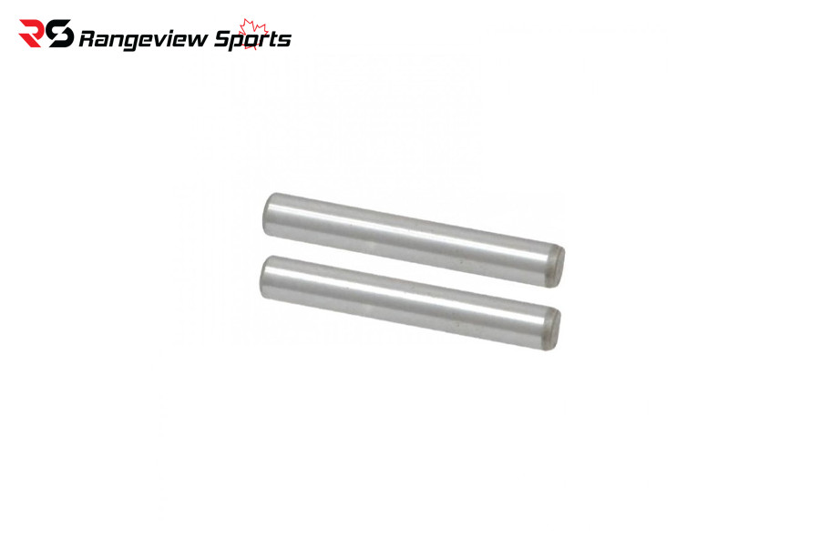 SBI 10/22 Stainless Receiver Pins Sbi 10/22 Stainless Receiver Pins